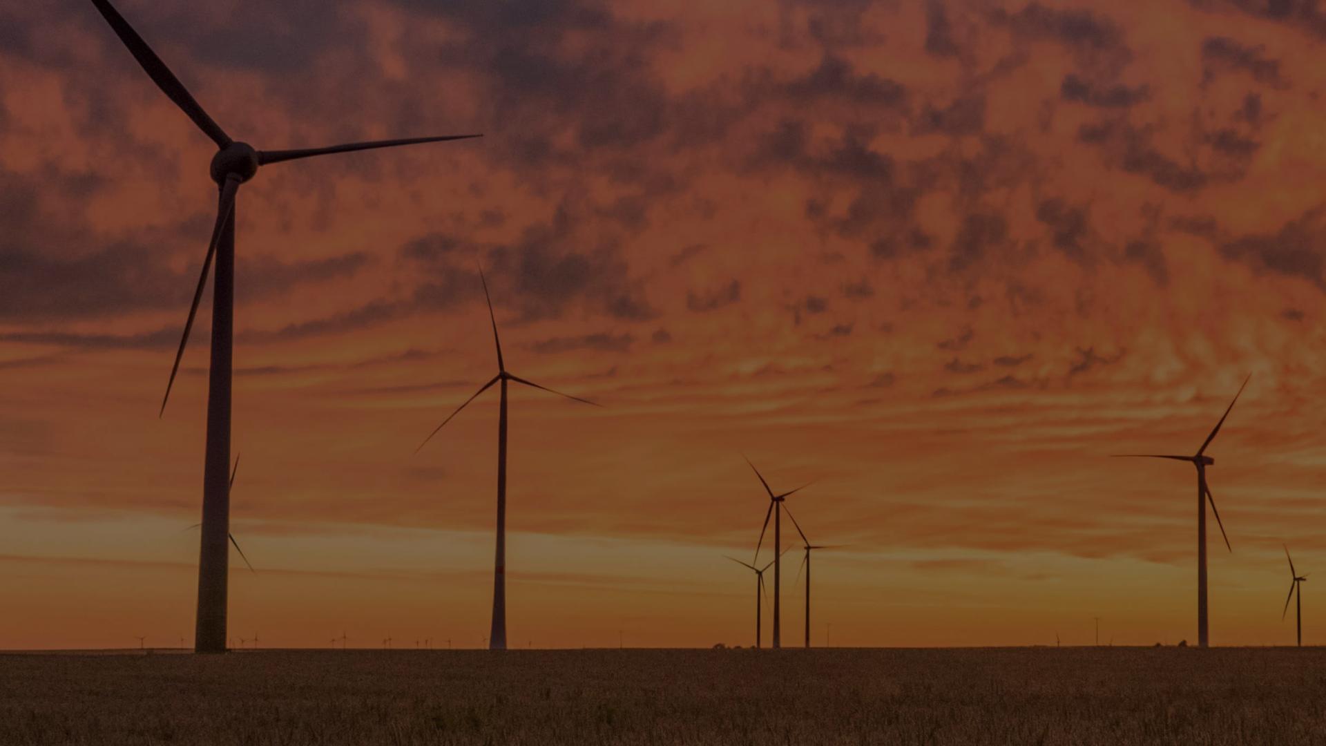 embedded generation EGIP