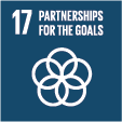 sdg17