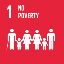 sdg1