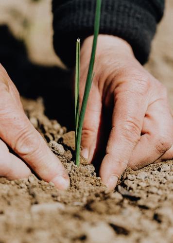 Integrated rural development in KwaZulu-Natal