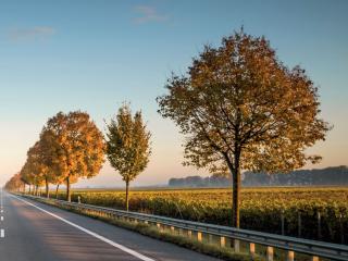 Reduce Africa's carbon footprint through green transport