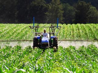 Green economy and future generations