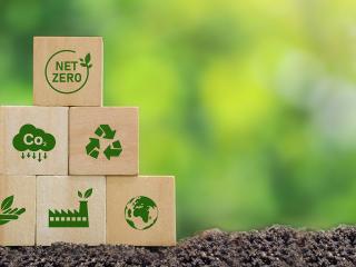 Achieve Net Zero Goals By 2050